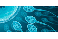 Ayurvedic Clinic in Jharsuguda, Sexologist Doctors in Jharsuguda, Ayurvedic Doctors in Jharsuguda