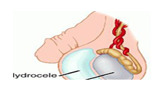 Ayurvedic Clinic in Jharsuguda, Sexologist Doctors in Jharsuguda, Ayurvedic Doctors in Jharsuguda